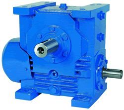 Šneková prevodovka WM6 i=12.5 - vstup 40 mm / výstup 60 mm RENOLD