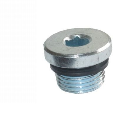 Hydraulické skrutkovanie BSP - zátka VSTI G1/8 A N